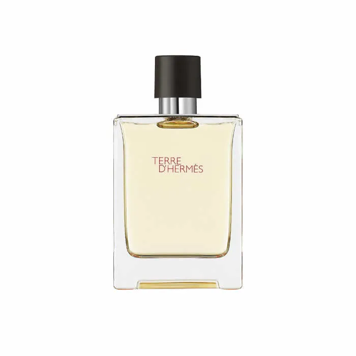 Hermes Terre D'Hermes Eau De Toilette Vaporisateur 100ml